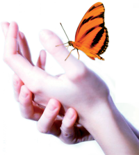 reikiflow-hand-butterfly-450px.png